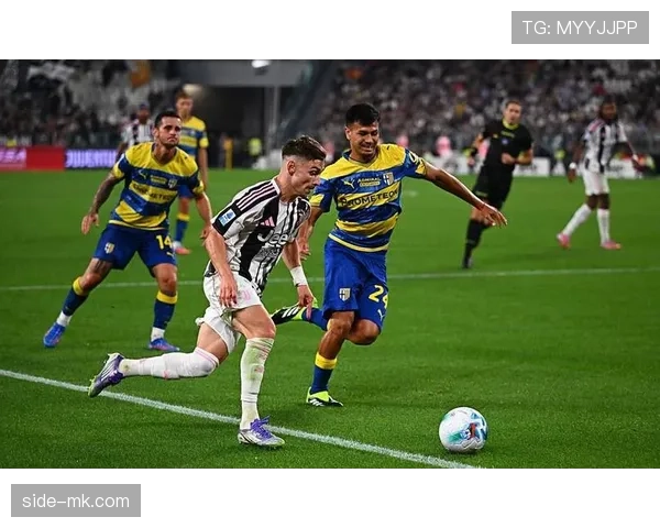 维罗纳进攻套路 维罗纳进攻套路