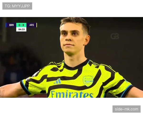 特罗萨德长期效率与贡献解析 特罗萨德长期效率与贡献解析