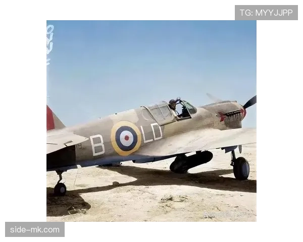 杜埃是否被高估？战术角色与实际贡献解析